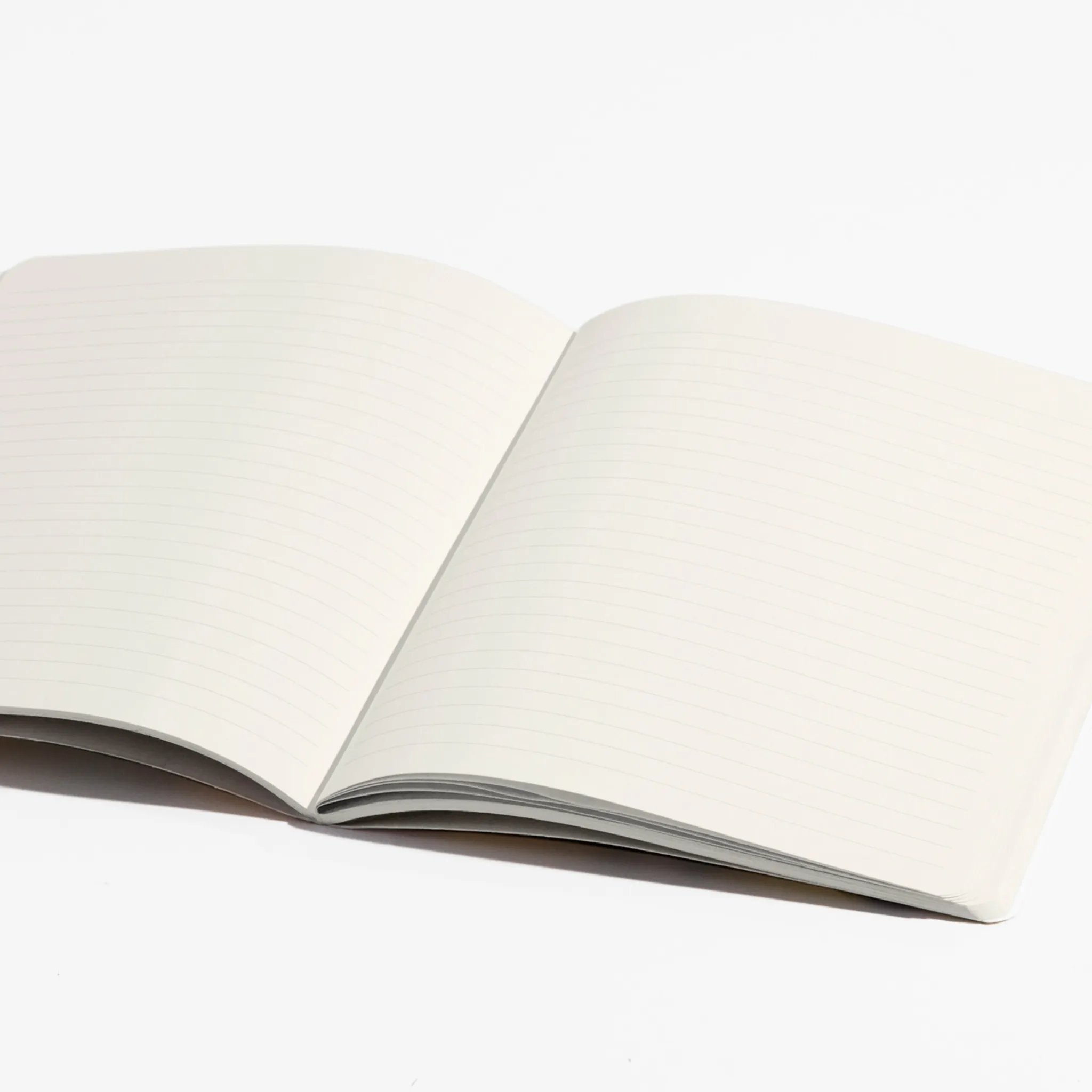 Illusion Notebook Bundle